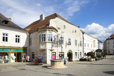 Großraum Geschäft in der Einkaufpassage Neunkirchen zu mieten!, 2620 Neunkirchen, Geschäftslokal