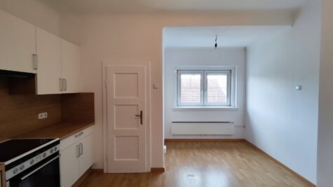 Einzimmer Wohnung in Zentraler Lage in Neunkirchen zu mieten!, 2620 Neunkirchen, Wohnung